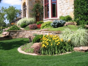 Adam's Lawn & Landscaping Prince George's County Lawn and Landscaping