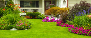 Adam's Lawn & Landscaping St. Mary's County Lawn