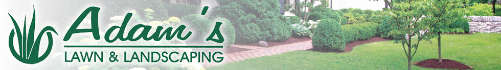 Free Estimate Contact Adams Lawn And Landscaping Southern Maryland Main Menu